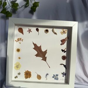 Framed Botanical Art with Pressed Leaves and Flowers
